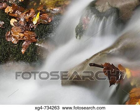 Detail of Cardenas river in autumn, San Millan. La Rioja, Spain View Large Photo Image Stock Image - Detail of Cardenas river in autumn, San Millan. La Rioja, Spain. Fotosearch