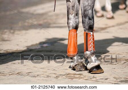 Detail of horse ornament. View Large Photo Image Stock Image - Detail of horse ornament.. Fotosearch