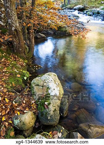 Detail of Iregua river at Achichuelo, Sierra Cebollera Natural Park, Villoslada de Cameros, La Rioja, Spain View Large Photo Image Stock Photo - Detail of Iregua river at Achichuelo, Sierra Cebollera Natural Park, Villoslada de Cameros, La Rioja, Spain. Fotosearch