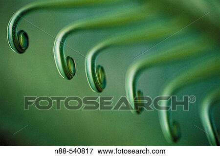 Stock Photo - Detail of palms. Fotosearch