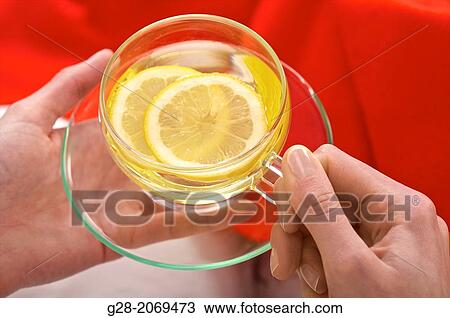Detail of young woman's hands holding a cup of herbal tea with a slice of lemon View Large Photo Image Stock Image - Detail of young woman's hands holding a cup of herbal tea with a slice of lemon. Fotosearch