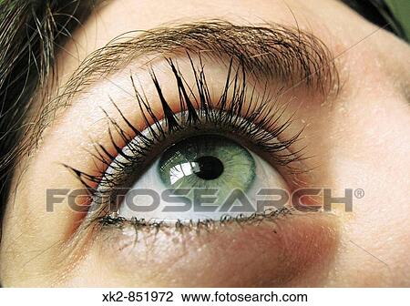Detalle de un ojo verde con pestaas maquilladas con rimmel View Large Photo Image Stock Image - Detalle de un ojo verde con pestaas maquilladas con rimmel. Fotosearch