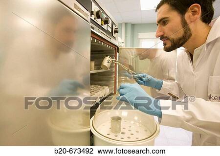 Stock Image - Determination of fat, animal nutrition, Laboratory of Agri-Environmental Safety, Departamento de Agrosistemas y Recursos Naturales, Neiker Tecnalia, Instituto de Investigaci? n y Desarrollo Agrario, Ganadero, Forestal y del Medio Natural, Euskadi, Spain. Fotosearch