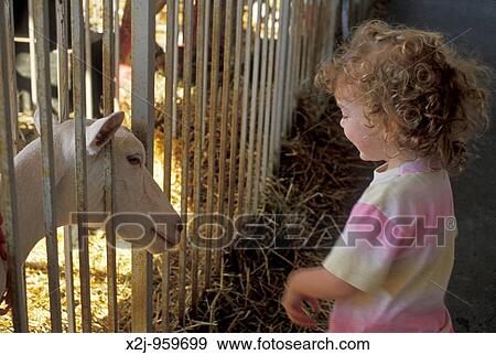 Detroit, Michigan - Mariel West, 2, visits with the animals on display at the Michigan State Fair MR View Large Photo Image Stock Photo - Detroit, Michigan - Mariel West, 2, visits with the animals on display at the Michigan State Fair MR. Fotosearch