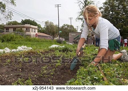 Detroit, Michigan - Volunteers work at the Earthworks Urban Farm, which grows fresh produce for the Capuchin Soup Kitchen View Large Photo Image Stock Image - Detroit, Michigan - Volunteers work at the Earthworks Urban Farm, which grows fresh produce for the Capuchin Soup Kitchen. Fotosearch