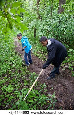 Detroit, Michigan - Volunteers worked on a nature trail to remove invasive garlic mustard in Eliza Howell Park View Large Photo Image Stock Image - Detroit, Michigan - Volunteers worked on a nature trail to remove invasive garlic mustard in Eliza Howell Park. Fotosearch