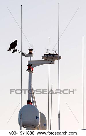 Diferent aspects from the dock and the vessels at Los Cabos, Baja California Sur, Mexico. View Large Photo Image Stock Photo - Diferent aspects from the dock and the vessels at Los Cabos, Baja California Sur, Mexico.. Fotosearch