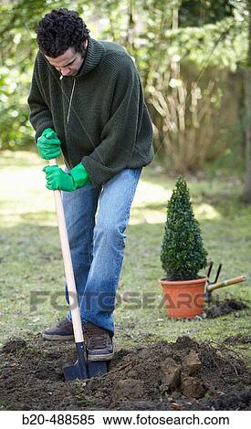 Digging with spade to plant bush in garden. Gipuzkoa, Euskadi, Spain View Large Photo Image Stock Photography - Digging with spade to plant bush in garden. Gipuzkoa, Euskadi, Spain. Fotosearch