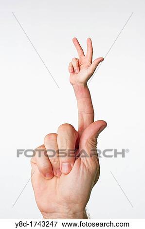 Digital composite of two hands showing success View Large Photo Image Stock Photo - Digital composite of two hands showing success. Fotosearch