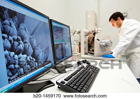 Discussing on SEM images, Analysis of nanostructures and nanodevices, Environmental scanning electron microscopy Laboratory, ESEM, Microscope Quanta TM 250 FEG, High-resolution surface imaging, Investigation of wet and dielectric samples View Large Photo Image Stock Image - Discussing on SEM images, Analysis of nanostructures and nanodevices, Environmental scanning electron microscopy Laboratory, ESEM, Microscope Quanta TM 250 FEG, High-resolution surface imaging, Investigation of wet and dielectric samples. Fotosearch