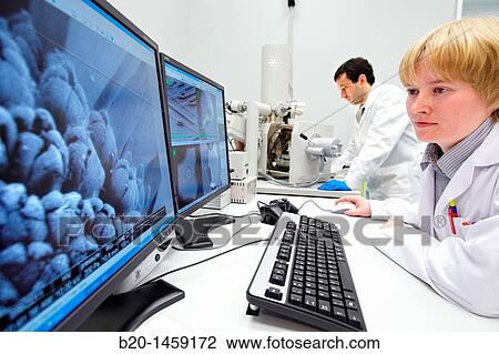 Discussing on SEM images, Analysis of nanostructures and nanodevices, Environmental scanning electron microscopy Laboratory, ESEM, Microscope Quanta TM 250 FEG, High-resolution surface imaging, Investigation of wet and dielectric samples View Large Photo Image Stock Image - Discussing on SEM images, Analysis of nanostructures and nanodevices, Environmental scanning electron microscopy Laboratory, ESEM, Microscope Quanta TM 250 FEG, High-resolution surface imaging, Investigation of wet and dielectric samples. Fotosearch