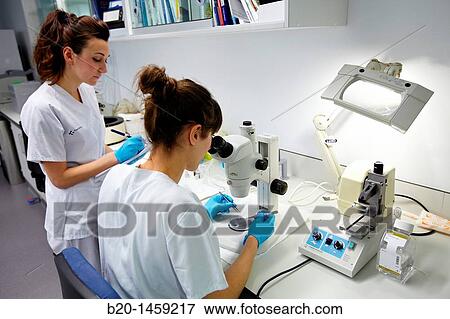 Stock Photo - Dissection/biopsy, Tissue engineering lab, Oncology and Regenerative Medicine Research, Biodonostia Health and Biomedicine Research Institute, San Sebastian, Donostia, Gipuzkoa, Euskadi, Spain. Fotosearch