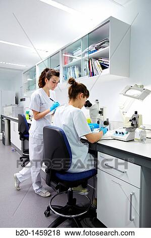Stock Photo - Dissection/biopsy, Tissue engineering lab, Oncology and Regenerative Medicine Research, Biodonostia Health and Biomedicine Research Institute, San Sebastian, Donostia, Gipuzkoa, Euskadi, Spain. Fotosearch