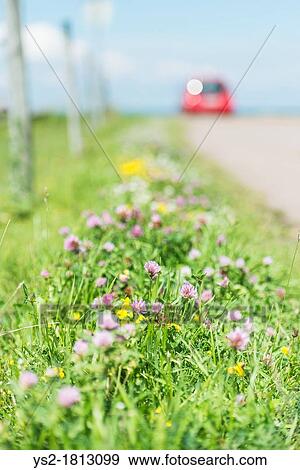 Distant car parked by lake in scenic landscape at summer View Large Photo Image Stock Photo - Distant car parked by lake in scenic landscape at summer. Fotosearch