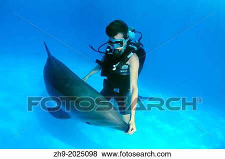 Stock Photo - Diver and Bottlenose dolphin (Tursiops truncatus), Dolphinarium, Odessa, Odessa Oblast, Ukraine, Europe.. Fotosearch