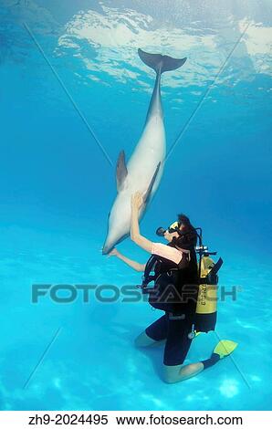 Diver and Bottlenose dolphin (Tursiops truncatus), Dolphinarium, Odessa, Odessa Oblast, Ukraine, Europe. View Large Photo Image Stock Photography - Diver and Bottlenose dolphin (Tursiops truncatus), Dolphinarium, Odessa, Odessa Oblast, Ukraine, Europe.. Fotosearch