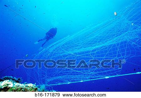 Stock Photo - Diver and net. Fotosearch