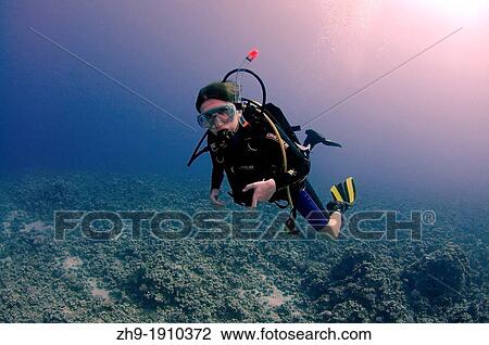 Stock Image - Diver at coral reef, Red Sea, Egypt, Africa. Fotosearch