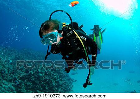 Diver at coral reef, Red Sea, Egypt, Africa View Large Photo Image Stock Image - Diver at coral reef, Red Sea, Egypt, Africa. Fotosearch