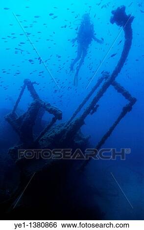 Diver exploring the Dalton Shipwreck with a school of fish swimming in the background, Marseille, France View Large Photo Image Stock Photograph - Diver exploring the Dalton Shipwreck with a school of fish swimming in the background, Marseille, France. Fotosearch
