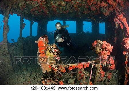 Diver inside Bridge of Maldive Victory Wreck, North Male Atoll, Maldives View Large Photo Image Stock Image - Diver inside Bridge of Maldive Victory Wreck, North Male Atoll, Maldives. Fotosearch