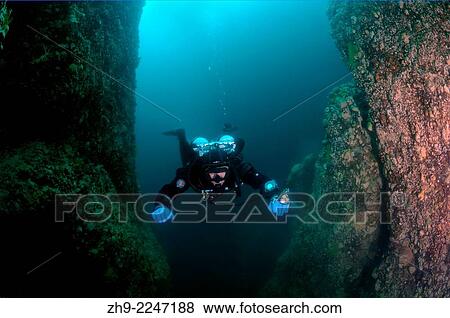 Diver, lake Baikal, Siberia, Russia, Eurasia. View Large Photo Image Stock Photo - Diver, lake Baikal, Siberia, Russia, Eurasia.. Fotosearch