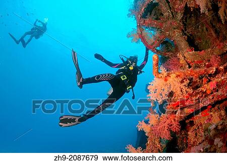 Stock Photo - Diver looking at shipwreck """"Giannis D"""". Red sea, Egypt, Africa. "". Fotosearch