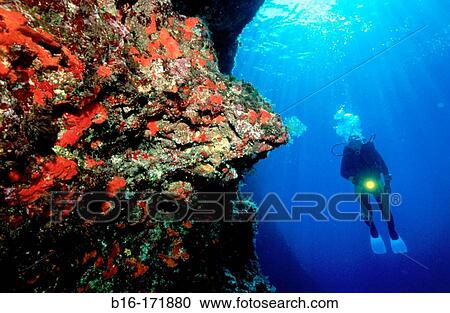 Diver. Mediterranean Sea View Large Photo Image Stock Image - Diver. Mediterranean Sea. Fotosearch