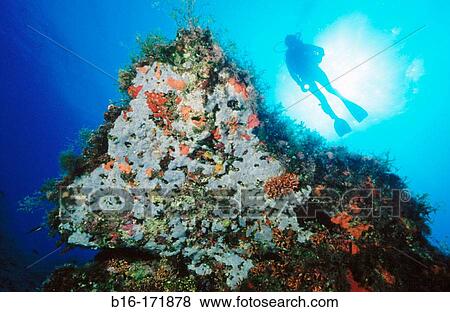 Diver. Mediterranean Sea View Large Photo Image Stock Photo - Diver. Mediterranean Sea. Fotosearch