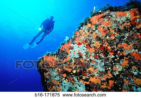 Diver. Mediterranean Sea View Large Photo Image Stock Photography - Diver. Mediterranean Sea. Fotosearch