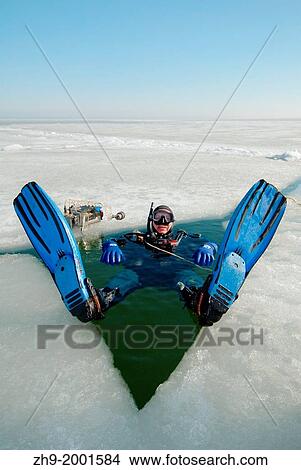 Diver, preparing for subglacial diving, ice diving, in the frozen Black Sea, a rare phenomenon, last time it occured in 1977, Odessa, Ukraine, Eastern Europe. View Large Photo Image Picture - Diver, preparing for subglacial diving, ice diving, in the frozen Black Sea, a rare phenomenon, last time it occured in 1977, Odessa, Ukraine, Eastern Europe.. Fotosearch