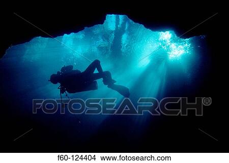 Diver silhouette in fresh water spring. Northern Florida View Large Photo Image Picture - Diver silhouette in fresh water spring. Northern Florida. Fotosearch
