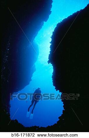 Stock Image - Diver. Fotosearch