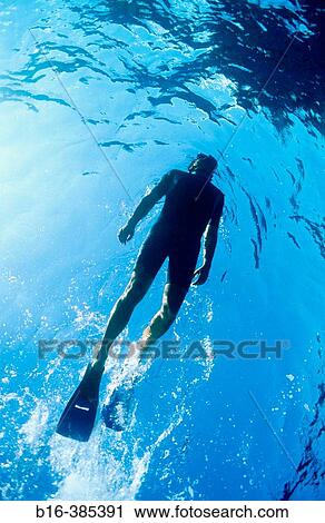 Diver swims to the surface View Large Photo Image Stock Image - Diver swims to the surface. Fotosearch