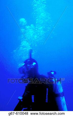 Diver under water. Key Largo. Florida. USA View Large Photo Image Stock Photo - Diver under water. Key Largo. Florida. USA. Fotosearch