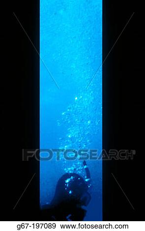 Stock Photo - Diver under water. Fotosearch