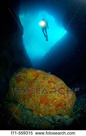 Diver with torch entering Barren Arch from northern end. Poor Knights Islands. New Zealand. South Pacific Ocean View Large Photo Image Stock Photography - Diver with torch entering Barren Arch from northern end. Poor Knights Islands. New Zealand. South Pacific Ocean. Fotosearch