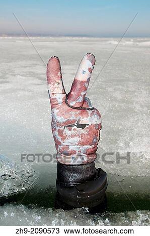 Diver's hand giving the 20 bar sign, subglacial diving, ice diving, in the frozen Black Sea, a rare phenomenon, last time it occured in 1977, Odessa, Ukraine, Eastern Europe. View Large Photo Image Stock Image - Diver's hand giving the 20 bar sign, subglacial diving, ice diving, in the frozen Black Sea, a rare phenomenon, last time it occured in 1977, Odessa, Ukraine, Eastern Europe.. Fotosearch