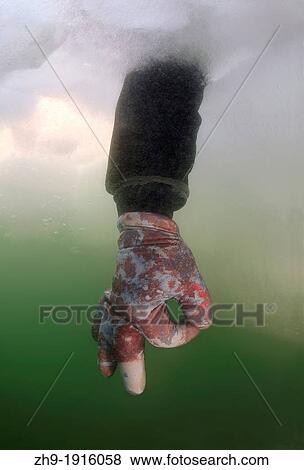 Diver's hand giving the OK sign, subglacial diving, ice diving, in the frozen Black Sea, a rare phenomenon, last time it occured in 1977, Odessa, Ukraine, Eastern Europe View Large Photo Image Stock Photo - Diver's hand giving the OK sign, subglacial diving, ice diving, in the frozen Black Sea, a rare phenomenon, last time it occured in 1977, Odessa, Ukraine, Eastern Europe. Fotosearch