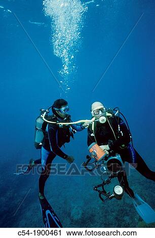 Diving Decompression Diver helping the buddy Mauritius Island Republic of Mauritius Southwestern Indian Ocean View Large Photo Image Stock Image - Diving Decompression Diver helping the buddy Mauritius Island Republic of Mauritius Southwestern Indian Ocean. Fotosearch