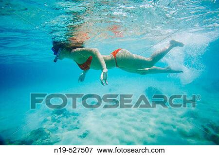 Diving. Maldives Island, Indian Ocean View Large Photo Image Stock Photo - Diving. Maldives Island, Indian Ocean. Fotosearch