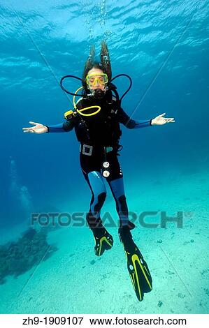 Stock Photo - Diving, Red sea, Egypt. Fotosearch