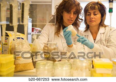 Stock Image - DNA extraction, Fodders for GMOs analysis, Biotechnology Laboratory, Neiker Tecnalia, Instituto de Investigaci? n y Desarrollo Agrario, Ganadero, Forestal y del Medio Natural, Arkaute, Alava, Euskadi. Spain.. Fotosearch