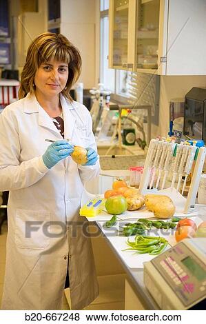 DNA extraction, Food and Polymerase Chain Reaction (PCR), Biotechnology Laboratory, Neiker Tecnalia, Instituto de Investigaci? n y Desarrollo Agrario, Ganadero, Forestal y del Medio Natural, Arkaute, Alava, Euskadi. Spain. View Large Photo Image Stock Photo - DNA extraction, Food and Polymerase Chain Reaction (PCR), Biotechnology Laboratory, Neiker Tecnalia, Instituto de Investigaci? n y Desarrollo Agrario, Ganadero, Forestal y del Medio Natural, Arkaute, Alava, Euskadi. Spain.. Fotosearch