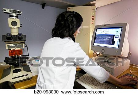 DNA study, identification of genetic risk variants predisposing to celiac disease, Laboratory of Molecular genetics. Hospital Policlinica Gipuzkoa, San Sebastian, Donostia, Euskadi, Spain View Large Photo Image Stock Image - DNA study, identification of genetic risk variants predisposing to celiac disease, Laboratory of Molecular genetics. Hospital Policlinica Gipuzkoa, San Sebastian, Donostia, Euskadi, Spain. Fotosearch
