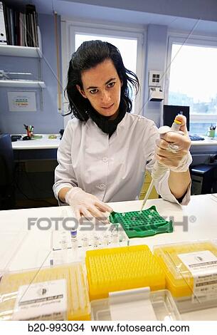 Picture - DNA study, Laboratory of Molecular genetics. Hospital Policlinica Gipuzkoa, San Sebastian, Donostia, Euskadi, Spain. Fotosearch