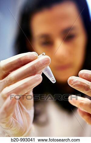 DNA study, Laboratory of Molecular genetics. Hospital Policlinica Gipuzkoa, San Sebastian, Donostia, Euskadi, Spain View Large Photo Image Stock Image - DNA study, Laboratory of Molecular genetics. Hospital Policlinica Gipuzkoa, San Sebastian, Donostia, Euskadi, Spain. Fotosearch