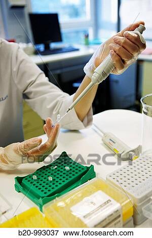 DNA study, Laboratory of Molecular genetics. Hospital Policlinica Gipuzkoa, San Sebastian, Donostia, Euskadi, Spain View Large Photo Image Stock Photo - DNA study, Laboratory of Molecular genetics. Hospital Policlinica Gipuzkoa, San Sebastian, Donostia, Euskadi, Spain. Fotosearch