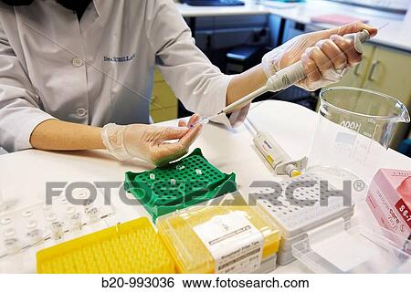 DNA study, Laboratory of Molecular genetics. Hospital Policlinica Gipuzkoa, San Sebastian, Donostia, Euskadi, Spain View Large Photo Image Stock Photograph - DNA study, Laboratory of Molecular genetics. Hospital Policlinica Gipuzkoa, San Sebastian, Donostia, Euskadi, Spain. Fotosearch