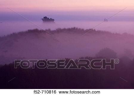 Stock Photograph - Doana National Park. Huelva province. Spain. Fotosearch